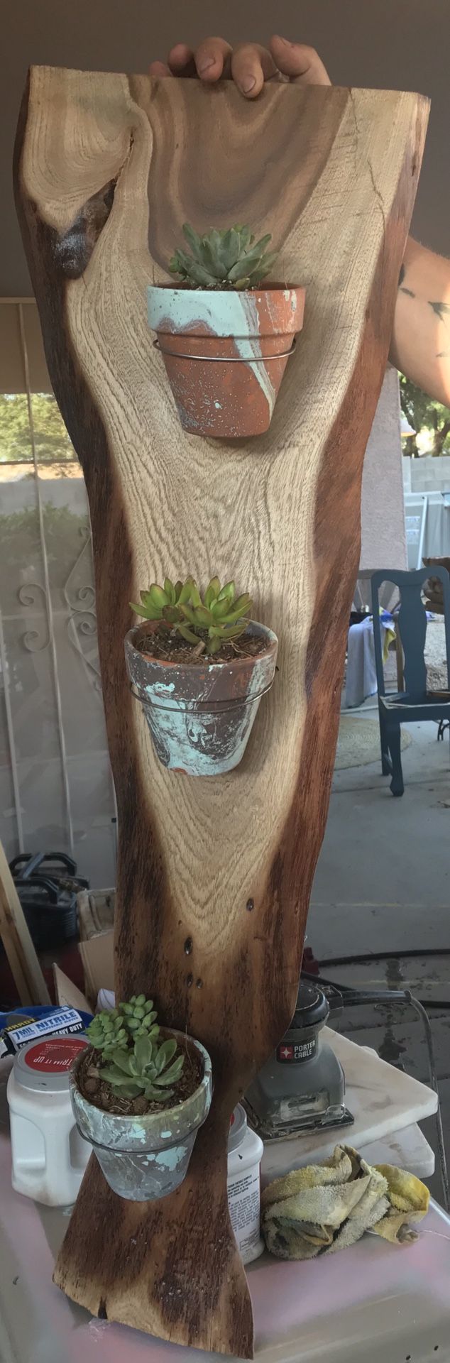 Handmade live edge mesquite slab succulent planter display