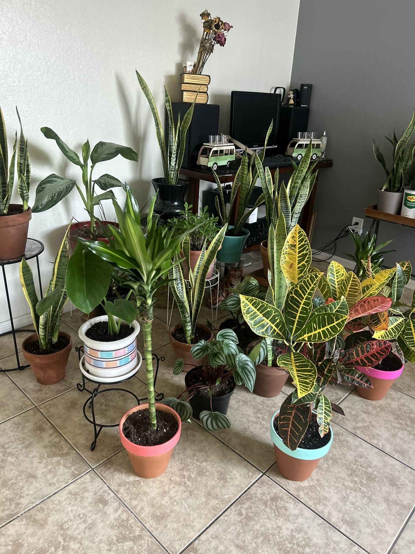 Plans For Sale 20 Each