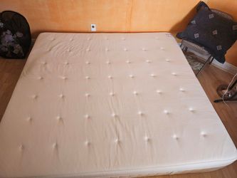 Plush King Mattress