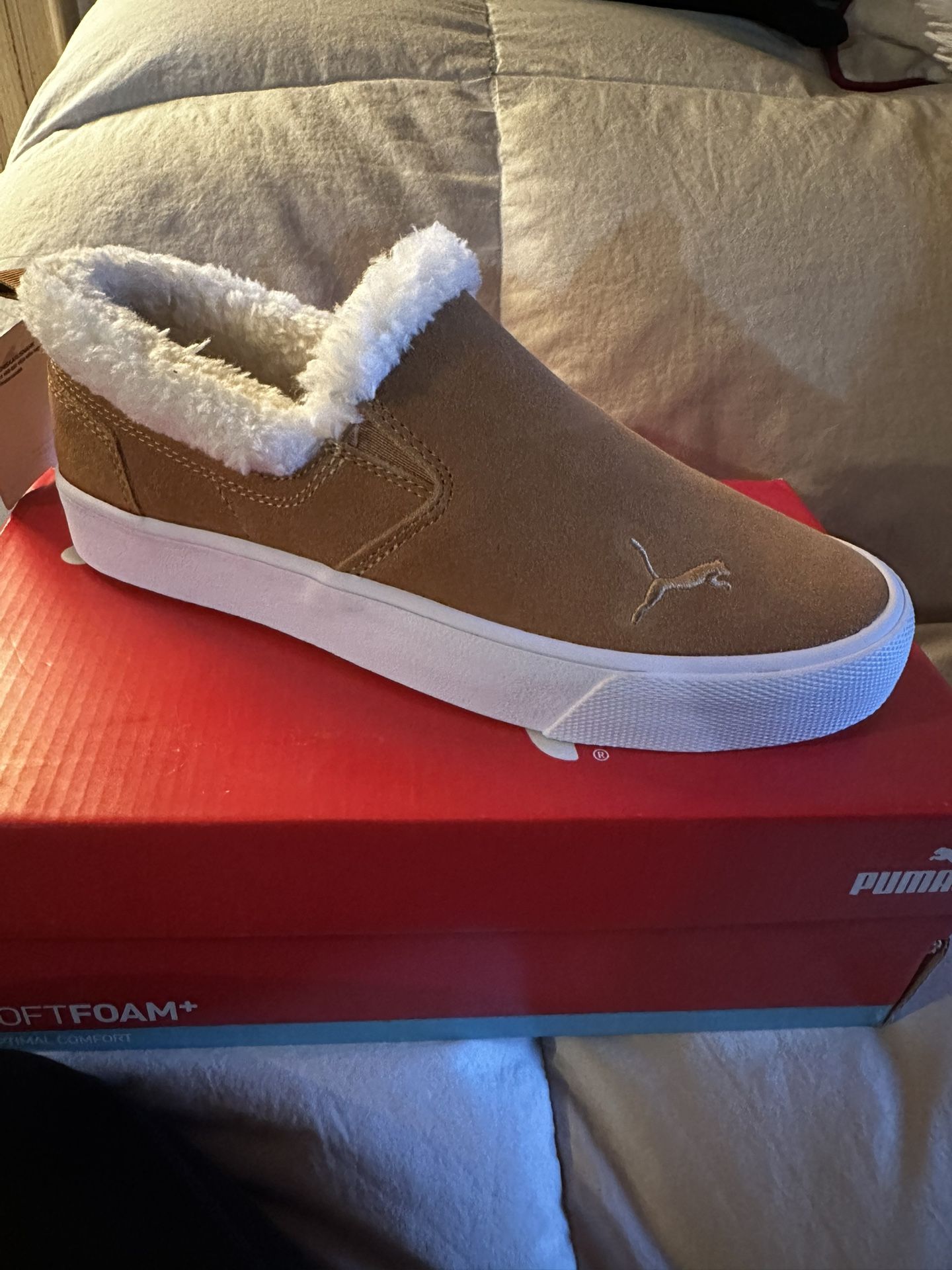Puma 