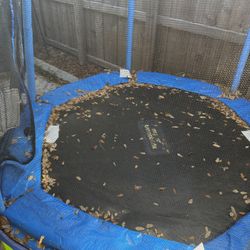 Small Trampoline 