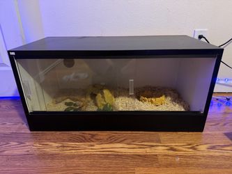 Large Black Reptile tank