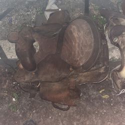 Horse Saddle  All In Good Conditions 