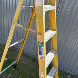 6 Foot Ladder 