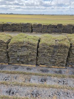 🚜🐖✅️ FARM FRESH SOD DELIVERY