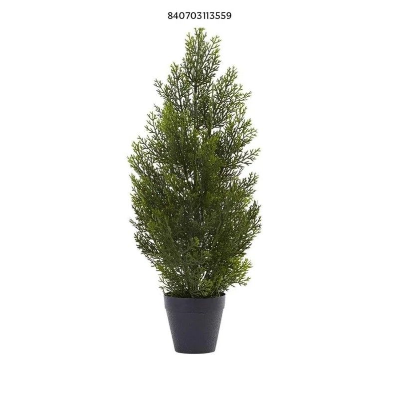 Indoor and Outdoor 2 ft. Mini Cedar Pine Tree