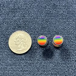 Rainbow Faux Plug Earrings