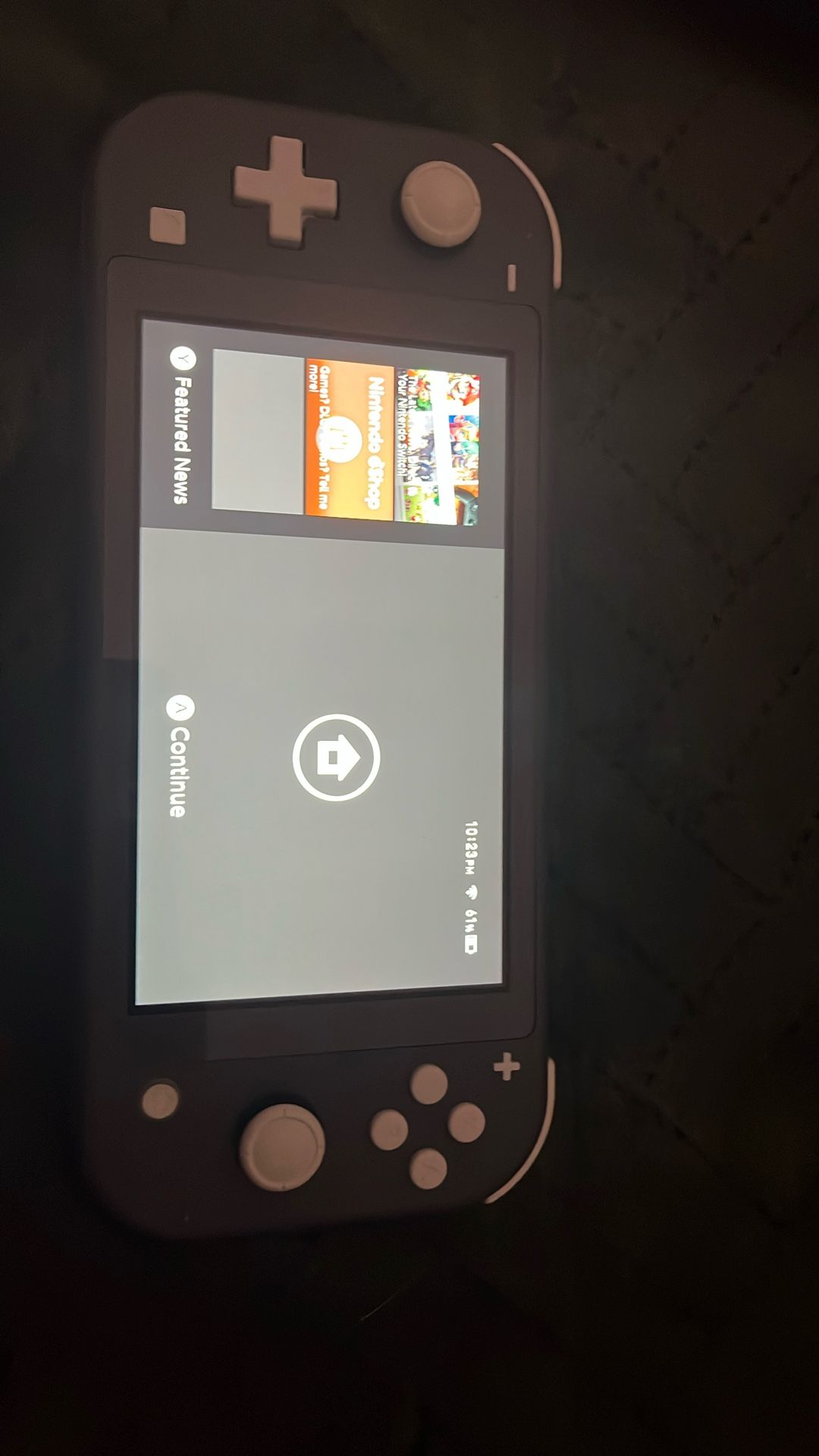 Gray Nintendo Switch Lite