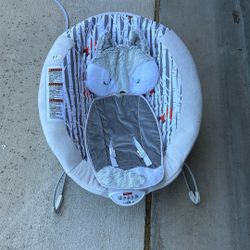 Baby Bouncer