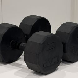 NEW 30lb Dumbbell Set/Pair