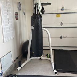 Everlast 100 Pound Bag and Century Stand 