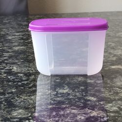 Tupperware Freezermates 1 1/4 Cup