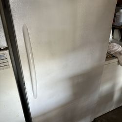 Upright Freezer 