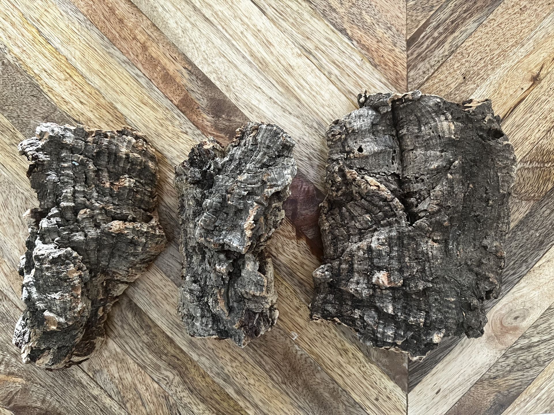 Wood Chunks For Air Plants