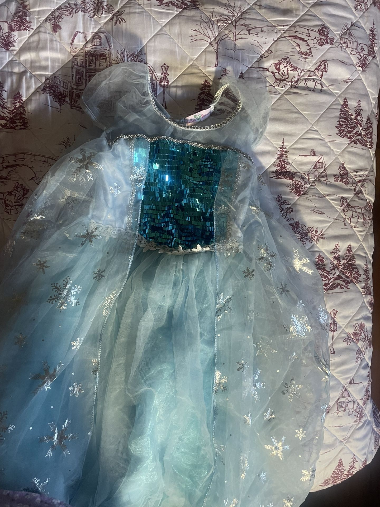 Halloween Costume Elsa