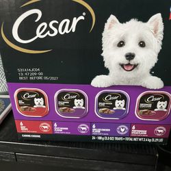 Cesar Dog Food NEW