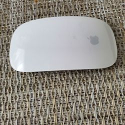 Apple Mouse