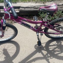 Gary Fisher Cosmo 20 In Bike 