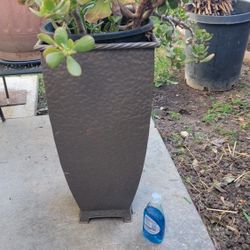 Galvanize Tall Pot With Plant