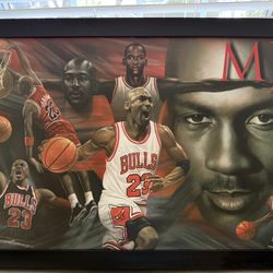 Michael Jordan poster: MJ Collage (36x24) Chicago Bulls CANVASS