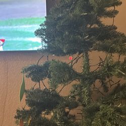 Christmas Tree For Sale