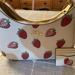 Coach Terry Hobo Bag With Wallet Like New Condition 