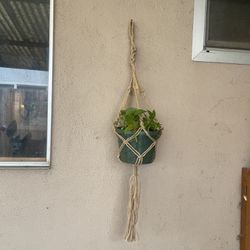 hanging Plant Holder