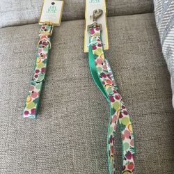 Brand New Tag Attached 6 Foot Leash And Nice Collar To Match