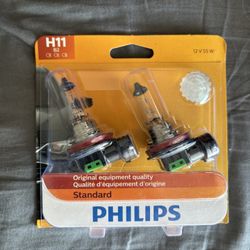 Standard Headlight