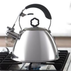 Princess House Electric Kettle (Tetera Eléctrica)