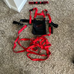 Lucky Bum Kids Ski Harness, Leashes, And Tip Clips