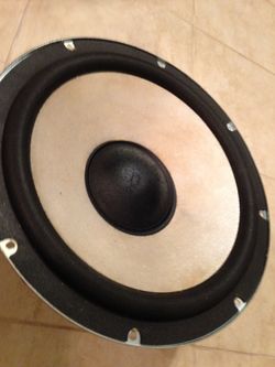 12 Inch BW Speaker Woofer Driver