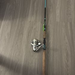 Shimano Sedona 4k with gomexus handle and custom rod