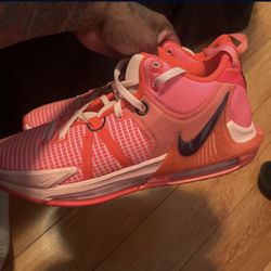 Nike Lebron Shoes