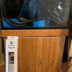 Fish Tank setup 