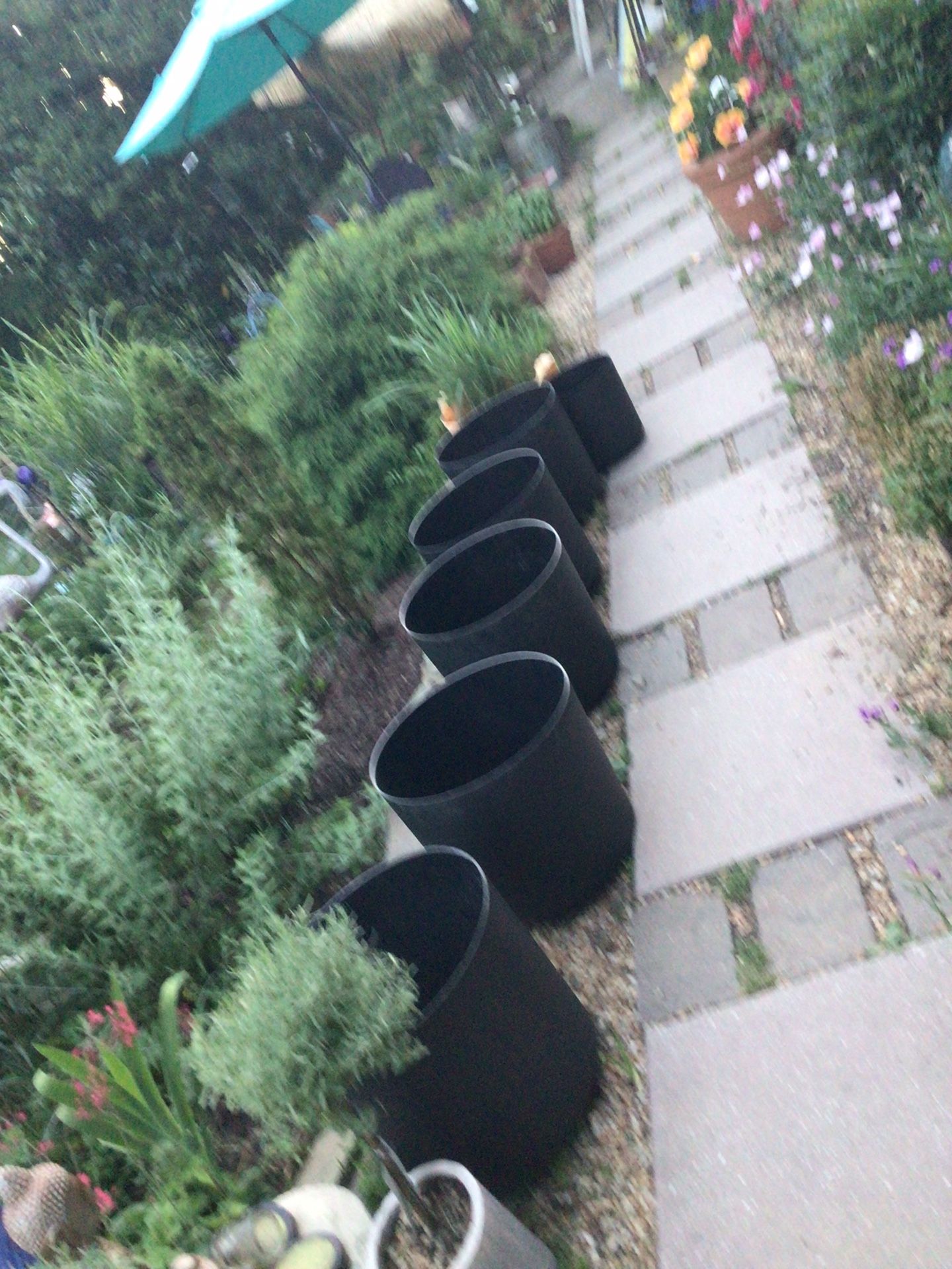 Interior Plant Pots 5 Large One Small 16”x15”