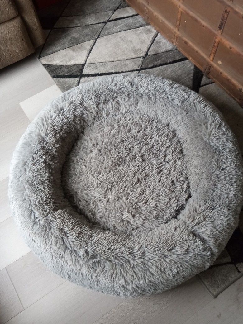 Dog Bed 