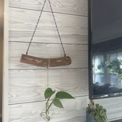 Hanging Plant Branch