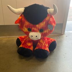 Big Stuffed Animal 