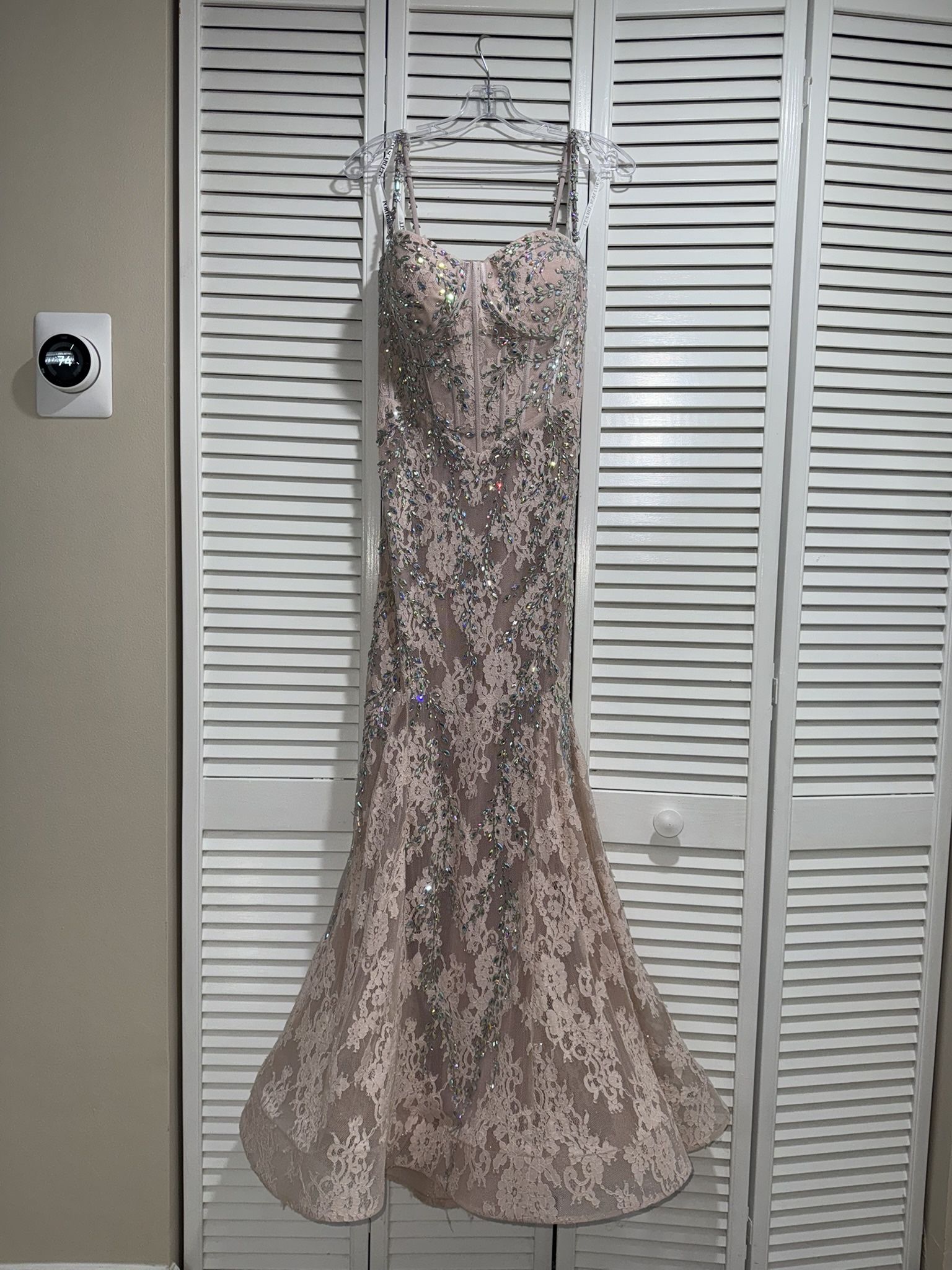 Portia Scarlet Pink Elegant Lace Mermaid Gown