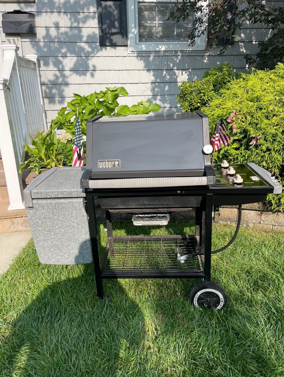 Weber Genesis propane BBQ grill with stainless steel grates