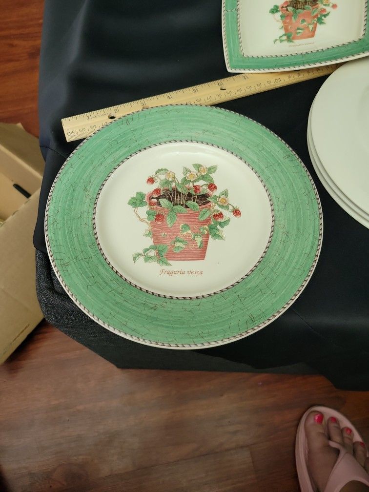 Wedgwood Sarah's Garden