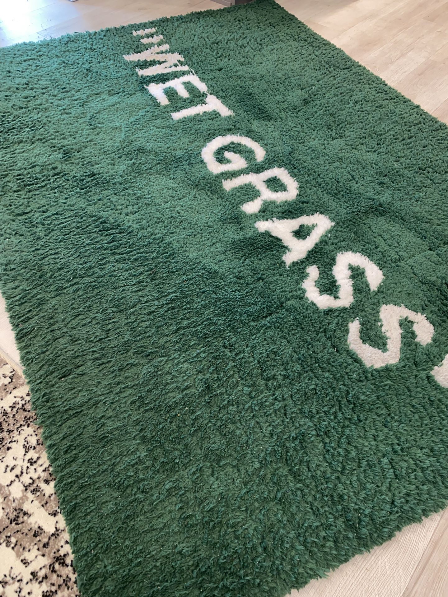 Off white wet grass rug for sale! GTA area : r/SneakersCanada
