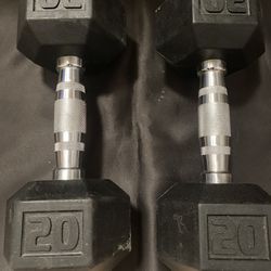 Two 20 Pound Dumbbells 