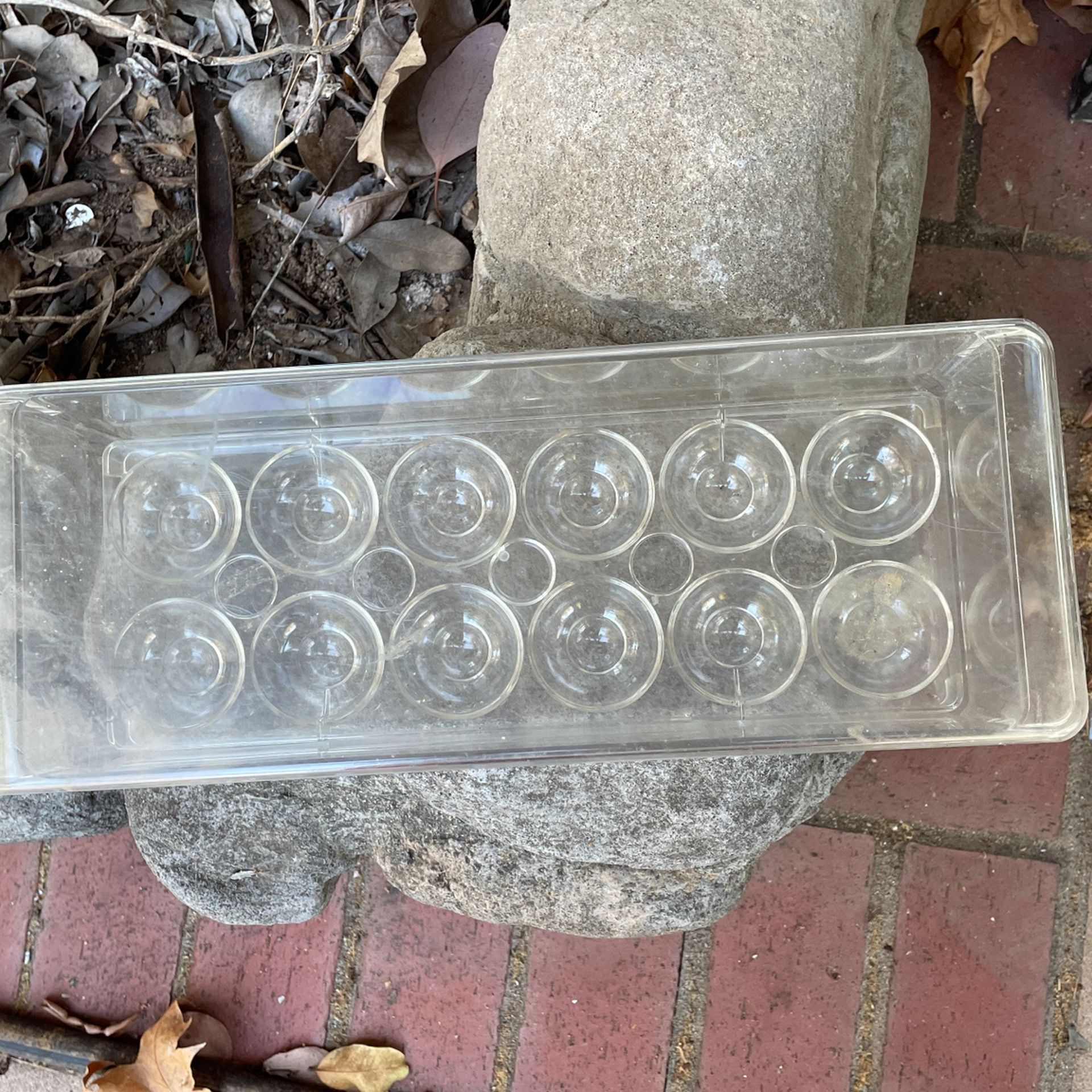 Egg Container