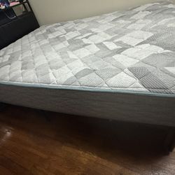 Queen Mattress Firm 