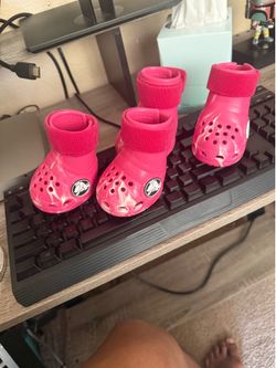 Dog Crocs