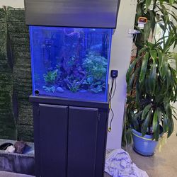 Beautiful turnkey aquarium 24 x 24 x 24. 60 gallons fresh or salt water. $600 OBO