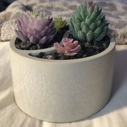 Faux Succulents 