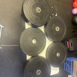 Rogue Echo Bumper Weight Plate Set